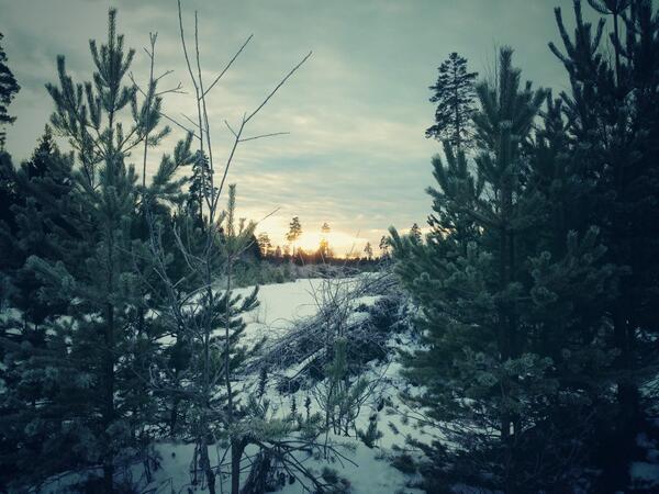 mcgarry_rob's tweet photo. Nice chilly day in Oslo -6c 😬 http://t.co/yr9Eu5ew6o