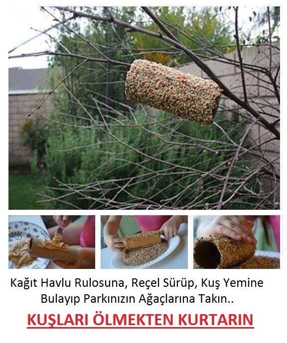 Kuslari ölmekten kurtarabiliriz.