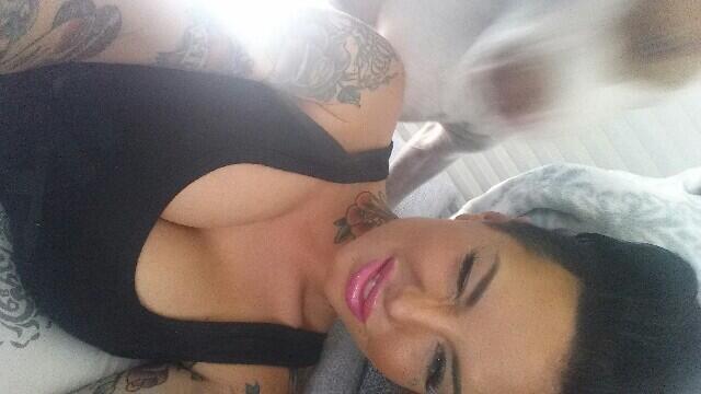 Vicious blurry pitbull attack http://t.co/eYtAyeZzC5