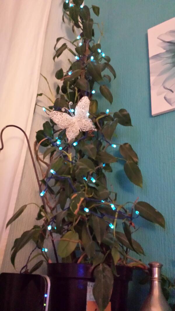 @sonyxperiagb #UpgradeMyTree my son first christmas at home. Hes usaully away with daddy.😍🎄