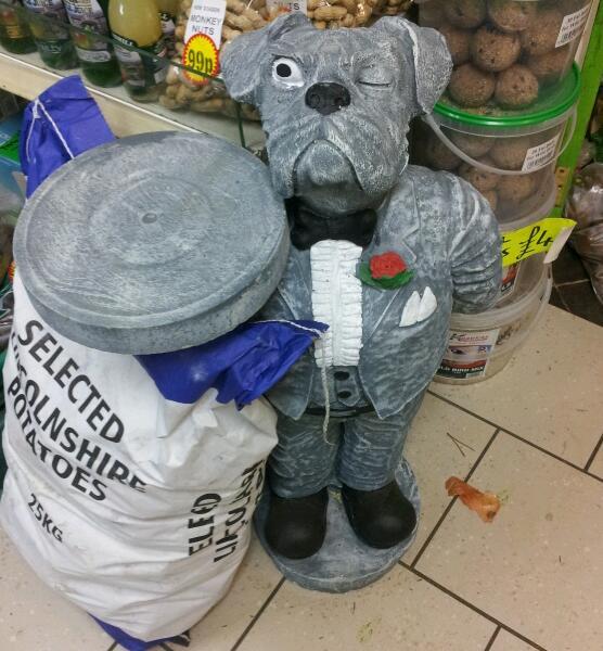 ajsleonard's tweet image. Funny shop in Cookstown had this bad boy. I want one! #dogbutler