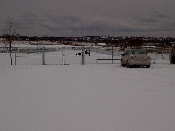 We've already had our first furry visitors to the dog park.