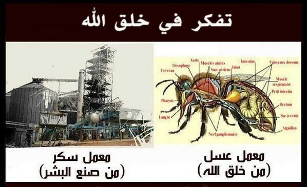 mubasherr_media tweet picture
