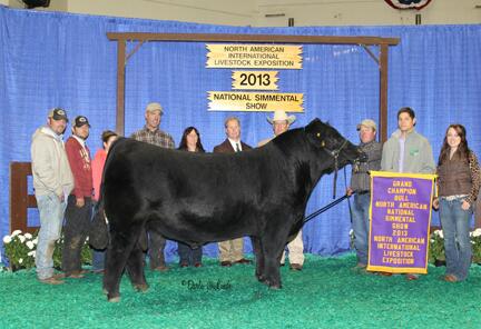 Rustic_HillsCC's tweet image. LLSF Pays To Believe ZU194 sired by RHCC very own CNS Pays To Dream T759 #livestock #showtowin #NAILE13