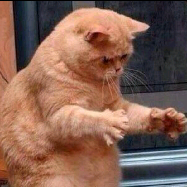 BootyHadMe_'s tweet photo. #BootyHadMeLike http://t.co/MLmzQXLAJH