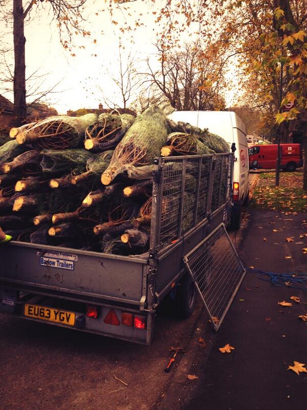 ItsSnowProblem's tweet image. More trees going out this weekend..