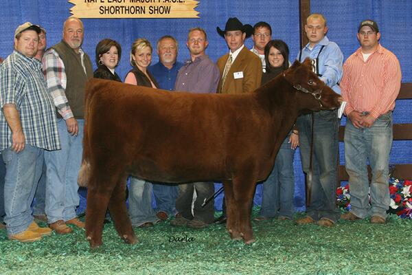 Rustic_HillsCC's tweet image. @Rustic_HillsCC  Reserve Grand Champion Female 2007
RL SONNY'S CHARM 
rustichillscattle.com #Simmental