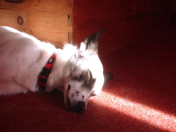 Liste's tweet image. Little Miss Mimi Sunshine.