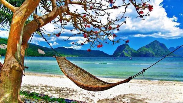 NationalGeograC's tweet photo. Pues no tiene que estar nada mal echarse una siesta aquí. Un lujo! http://t.co/tF8MxpbVcj