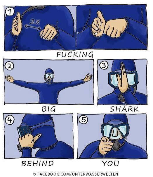 Lin_thomp's tweet image. Lol I can't wait to be taught this xoxo