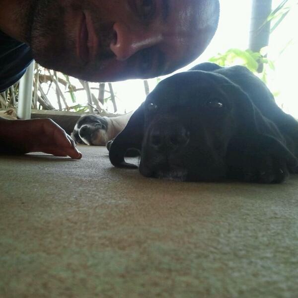 Lin_thomp's tweet image. Fair dinkum my bros are knob heads 2 in a good way but