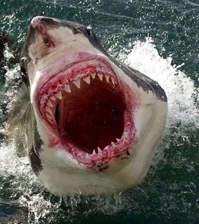 Lol, Marv x tweet media