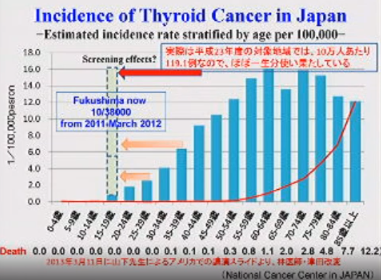 埋め込み画像への固定リンク