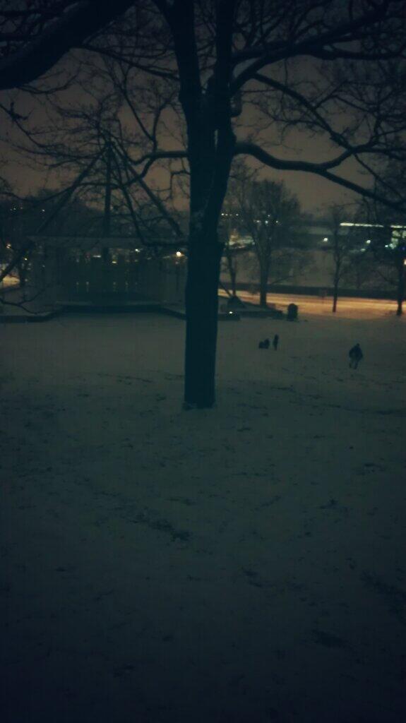 kimmerbops's tweet image. Started from the bottom now we here #slayterhill #sledding