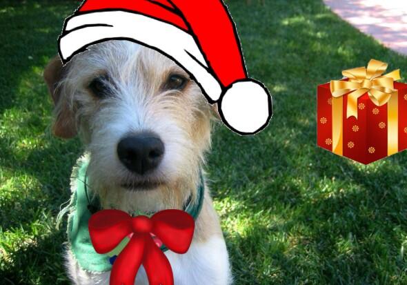 This is a picture with some crap put on me by <a href="/ericstonestreet/">Eric Stonestreet</a>