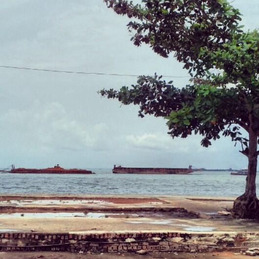 Perjalanan eksport.. Legal maupun ilegal hampir tidak ada bedanya di negeri ini