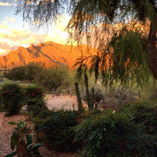 Dr. Nika tweet media