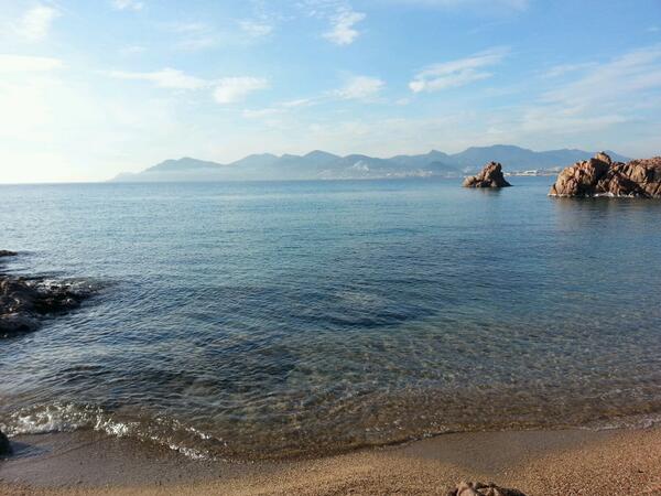 llimoni tweet picture