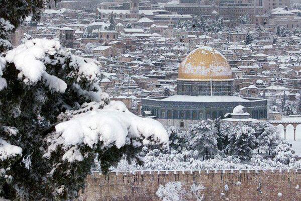 how many Retweet for this picture ? May Allah free Quds