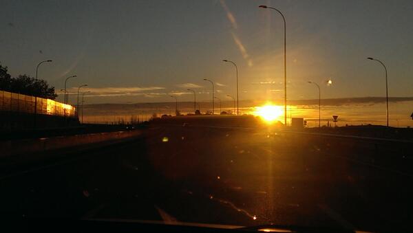 David de Andrés tweet media