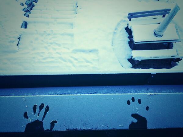ThusBear tweet picture