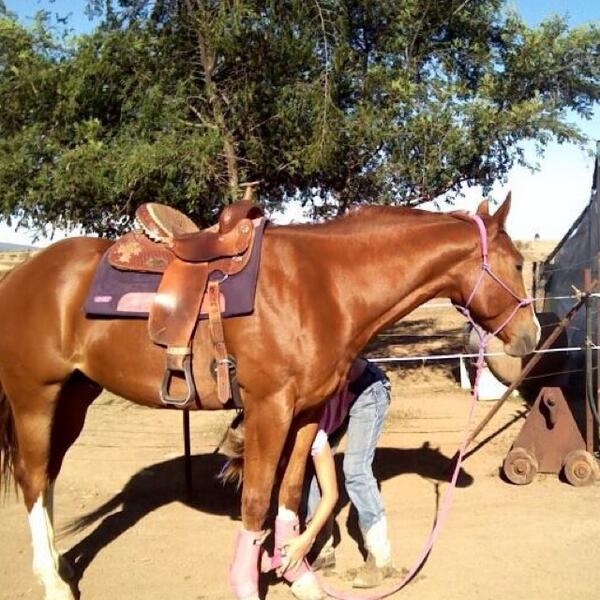 Lin_thomp's tweet image. Come on lets get going