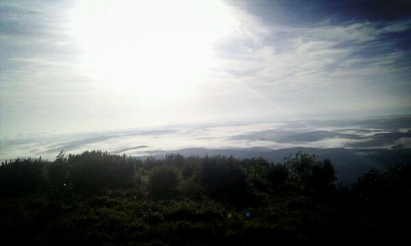 The view here @GodsWindow @graskop @fffest