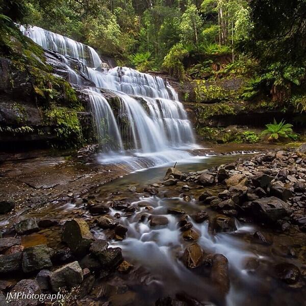 The serene #LiffyFalls in northern #Tasmania (via <a href="/jo_sydney/">johan</a> on IG) instagram.com/tasmania #discovertasmania