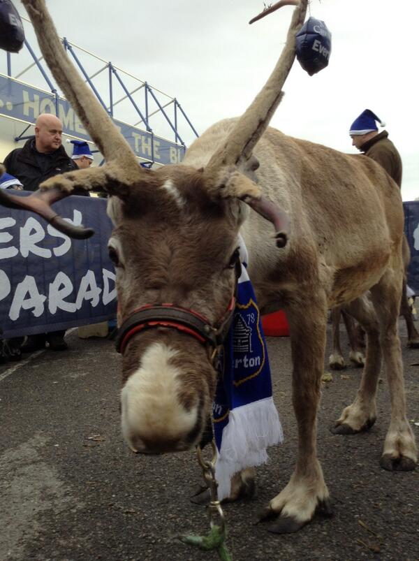 Everton's tweet photo. Christmas fact: Rudolph is a Blue. #bluecrimbo http://t.co/ZB0Q6Orbdc