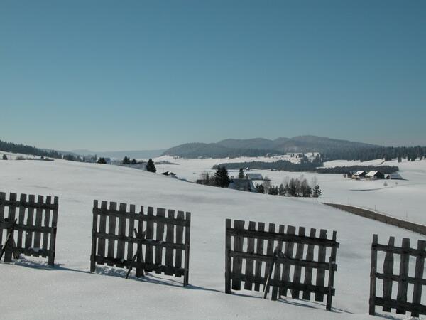 VACANCES tweet media