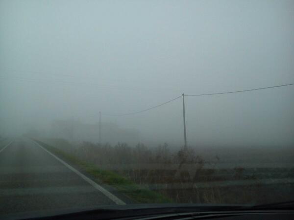 Giacomo Lorenzon tweet media