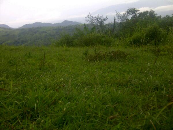 Imamsriyadi234's tweet image. At Nyalindung #nopolution #pendinginanotak #montain #TipsUntukPriaGemuk
