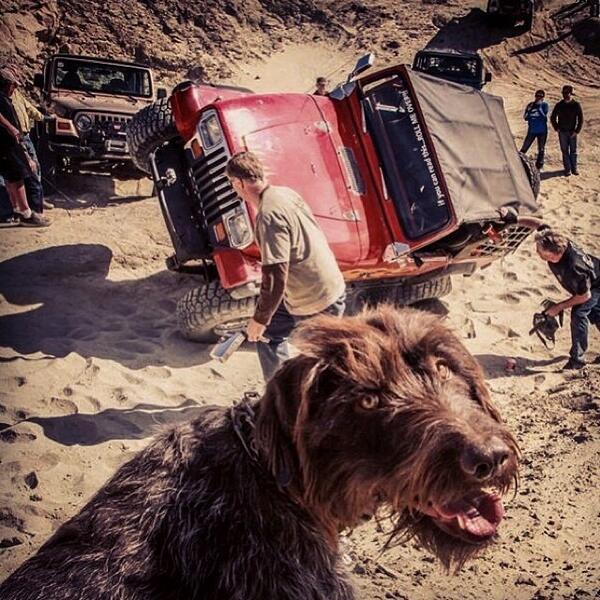 shorthousematt's tweet photo. jeepbeef: Can you just imagine what dogs must think of us ? By @jumpnjill #jeepbeef at play . Do you take … http://t.co/sxvfGn3FBM