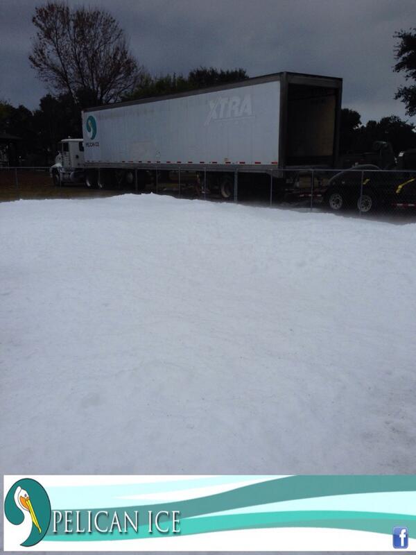 Come out and see us at Lafreniere Park!! Snow!!!! pelicanice.com