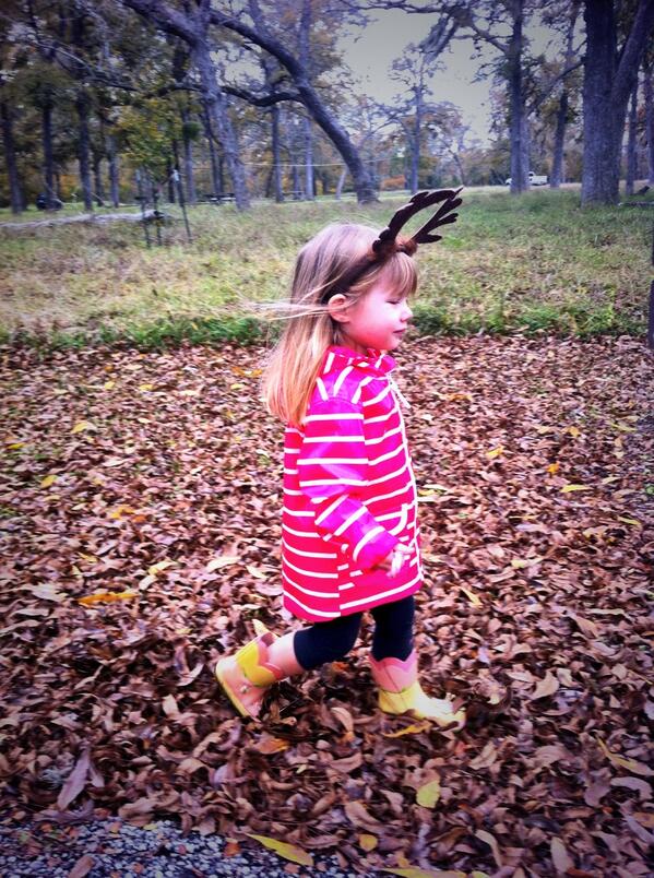 TPWDparks's tweet photo. Small reindeer sighting at Stephen F Austin State Park near Houston via @oursommlife http://t.co/EtK4DopDyv