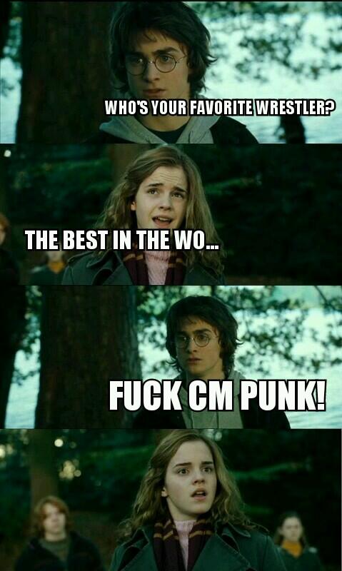 TanmayShekhawat's tweet image. #FuckCMPunk xD