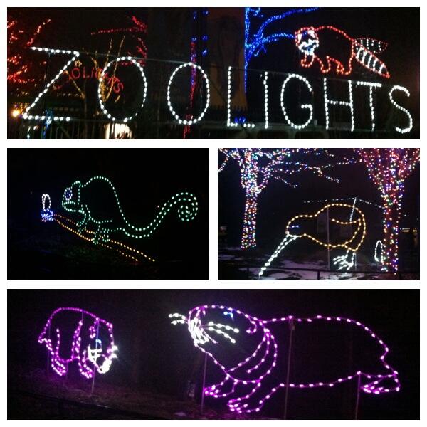 vlucchinic's tweet image. Zoo Lights! #happyholidays #iloveanimals #iamfive