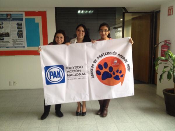 MICHELLECORAZON's tweet image. Listas para la #preposada del @ConsejoProtAnim @itzel_ruiz88 @anajvillagran @antymob
