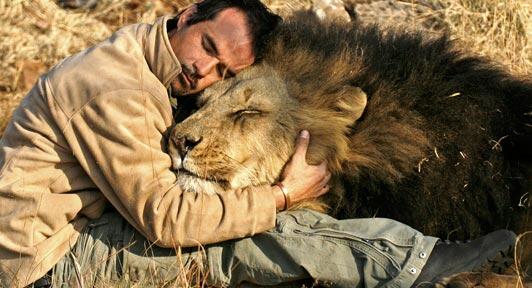 WorldPicture_MF's tweet photo. Kevin Richardson, The Lion Whisperer. http://t.co/5yInrzsRBf