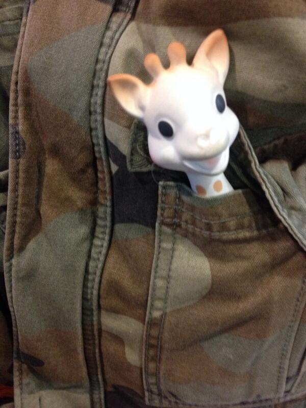 GillianGook's tweet photo. Meet my new pocket friend. Thanks @kkoogg - no longer do I have to hate. http://t.co/i6KFVjmZE3