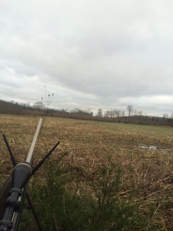 mtkf14's tweet photo. Beautiful view this evening!@jstricklin32 @alexjseaton24 @HA_Outdoors #teamtennessee http://t.co/uEZ4DQKiK5