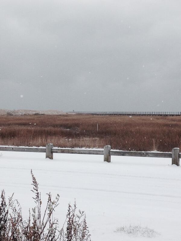 Helen I. Bennett tweet media