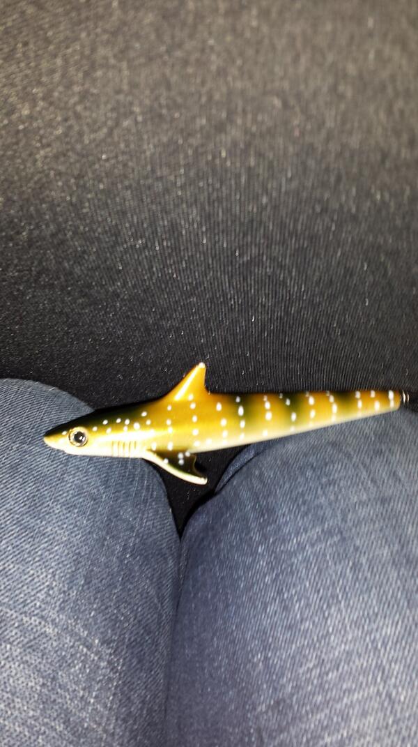 skugglan's tweet image. Minilagon?#megalogon