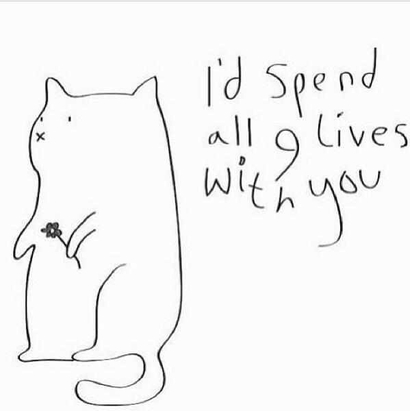 FirstWorldGals's tweet image. 😽❤️