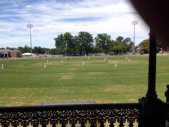 Hayley Tibbett tweet media