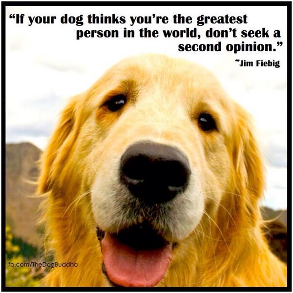 karmaevenson's tweet image. I agree 🐾