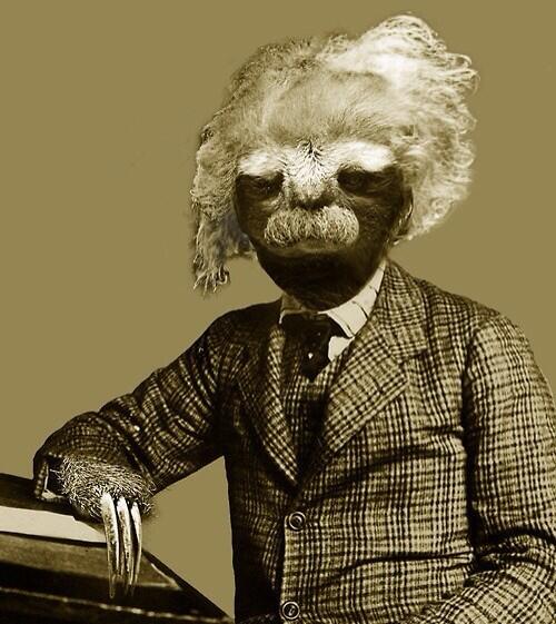 MorphSloth's tweet image. Albert Einstein Sloth.