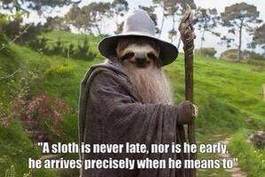 MorphSloth's tweet image. Gandalf sloth