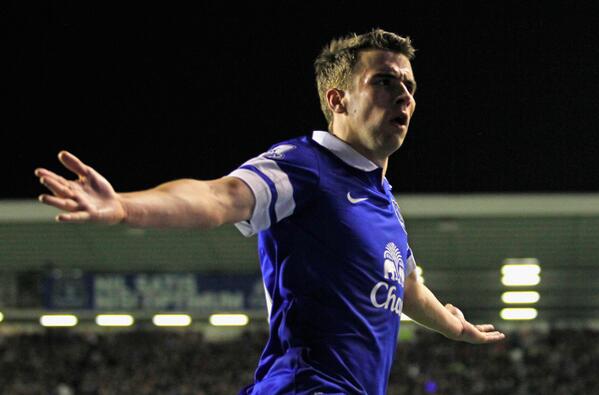 Indo_Barkley's tweet photo. Seamus Coleman goal celebration. http://t.co/cYyB8tNjwg