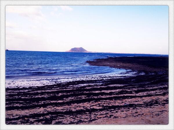 María Valverde tweet media